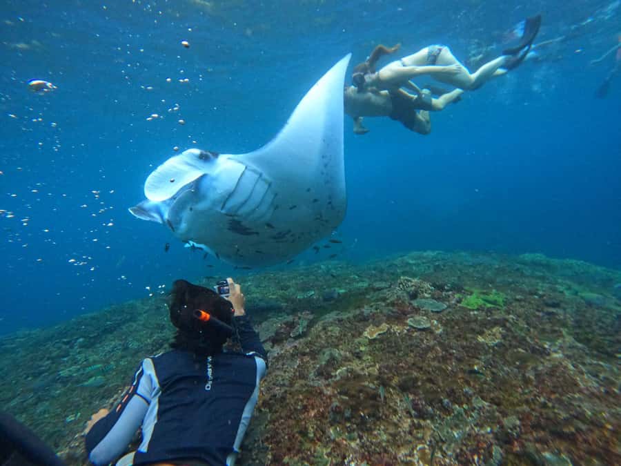 Bali: Nusa Penida Tour with Lunch & Manta Point Snorkeling - Snorkeling basics: safety briefing, gear, and the shower-after setup