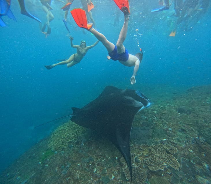 Bali: Nusa Penida Tour with Lunch & Manta Point Snorkeling - Manta Point: the highlight swim with a real-world caveat