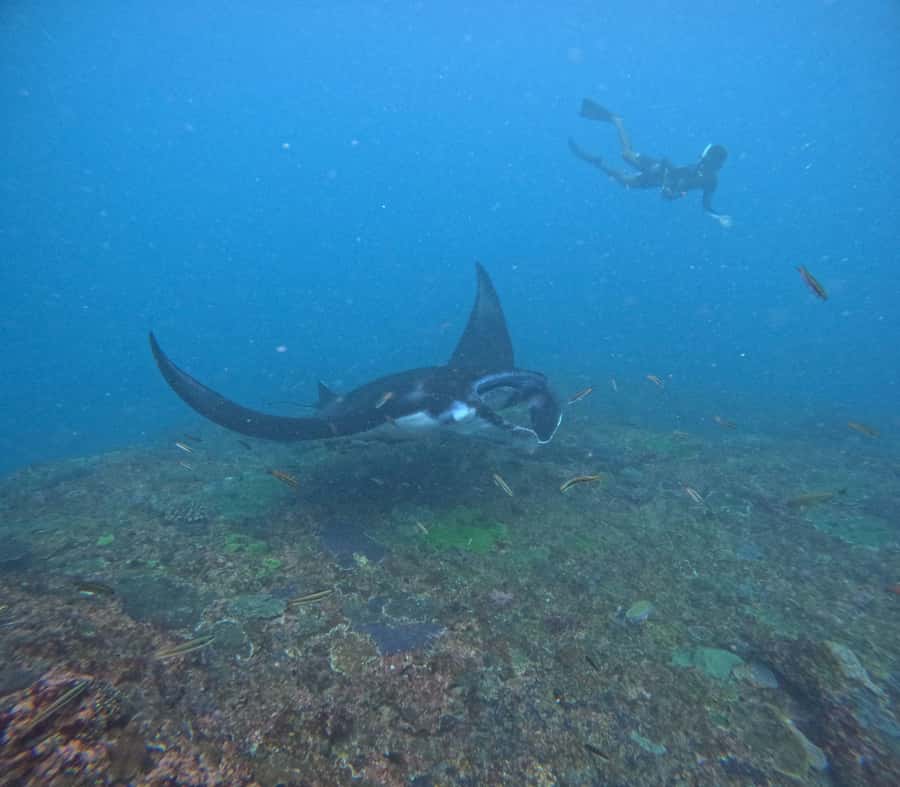 Bali: Nusa Penida Tour with Lunch & Manta Point Snorkeling - Angel Billabong and Broken Beach: the cliffside stops that earn your camera roll