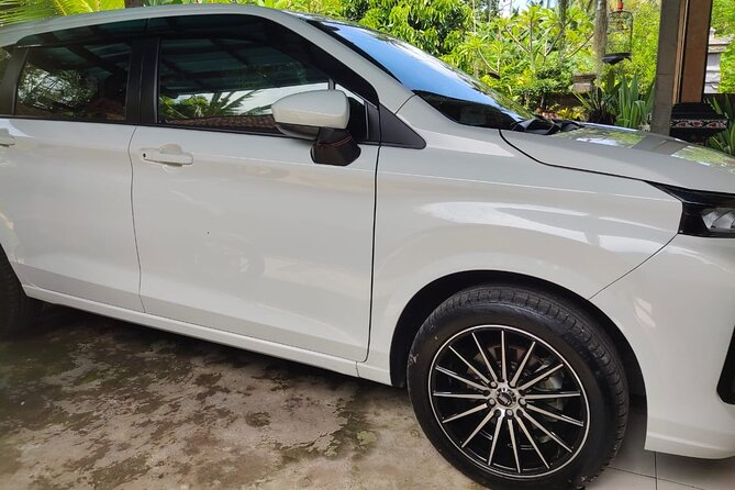 Bali Private Car and Customize Tour With English Speaking Driver - Mount Batur viewpoint: volcanic scenery with a short window