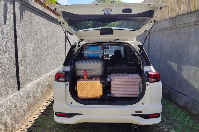 Bali Private Car Charter & Customize Tour With Driver English Speaking-Free WiFi - Private car perks that make Bali feel easier