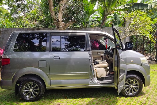 Bali Private Car Charter & Customize Tour With Driver English Speaking-Free WiFi - Entrance fees, sarongs, and temple etiquette (so you don’t get slowed down)