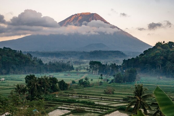 Bali Private Car Charter with English Speaking Driver - Key things that make this Bali charter worth your time