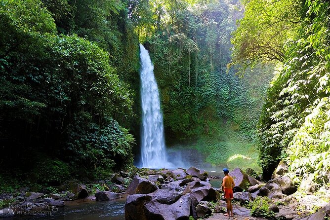 Bali Private Car Charter with English Speaking Driver - Why this private Bali car beats a standard tour day