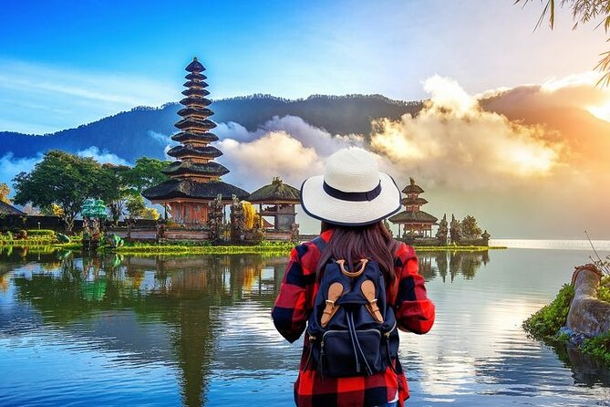 Bali Private Car Charter with English Speaking Driver - Entering Ubud: Tegalalang Rice Terrace, Tirta Empul, and Monkey Forest