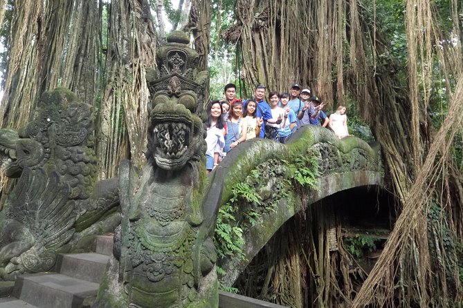 Bali Private Car Charter with English Speaking Driver Or Guide - Rice Terraces and Coffee/Tea Stops Without the Hassle