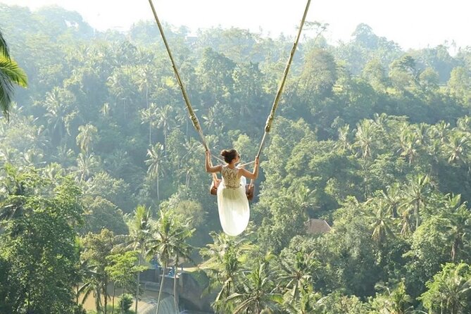 Bali Private Car Hire with English-Speaking Driver - Tirta Empul Temple: Holy Springs and a Strong First Stop