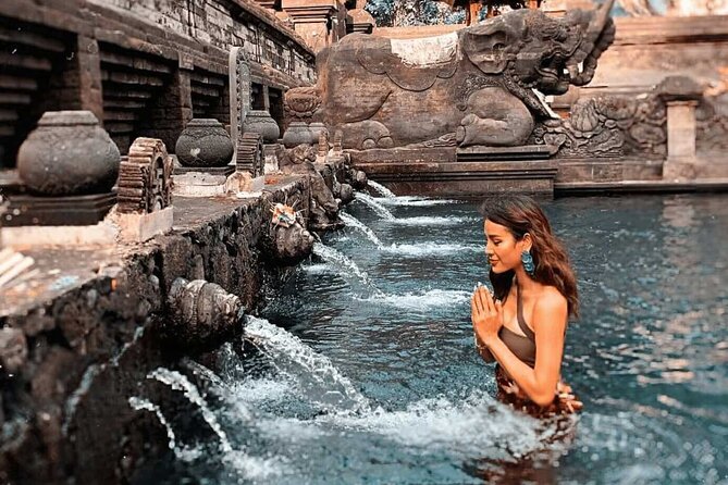 Bali Private Car Hire with English-Speaking Driver - Tegalalang Rice Terrace: The One Admission Ticket You May Pay Extra For