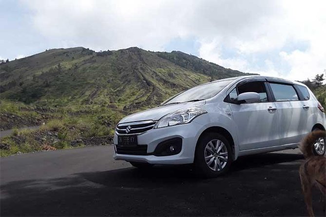 Bali Private Car or Minibus Charter With Driver - Key things I’d watch before you book