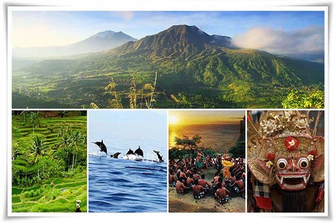 Bali Private Car or Minibus Charter With Driver - Comfort, safety, and the kind of patience you actually need