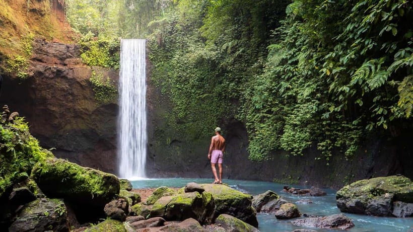 Bali: Private Custom Tours with Chauffeur - Waterfalls day: what each stop feels like