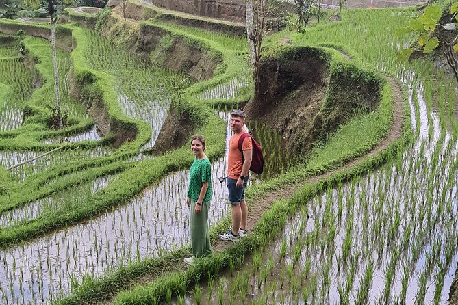 Bali Private Driver and Car for Customize Tours - Price and What Comes Included for Up to 5 People