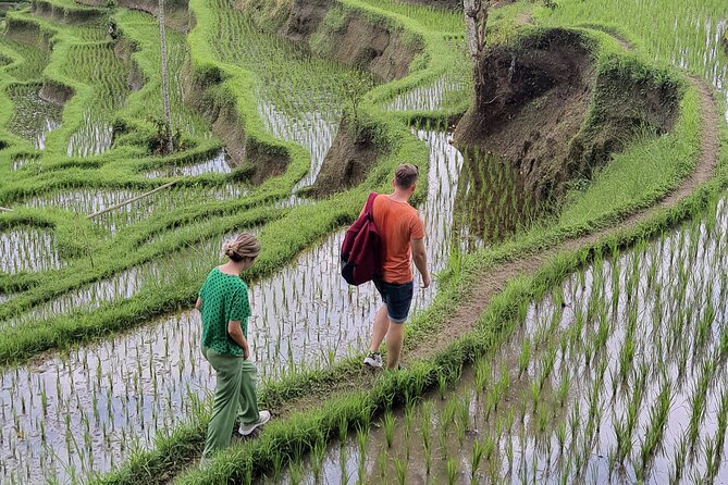Bali Private Driver and Car for Customize Tours - Ubud, Waterfalls, and Silver: What Each Stop Feels Like
