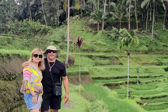 Bali Private Driver and Car for Customize Tours - Temples, Gates, and Big Photo Moments Across Bali