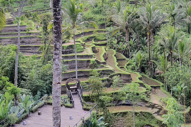 Bali Private Driver and Car for Customize Tours - The 30-Minute Sight Strategy: Tickets, Timing, and Realistic Expectations