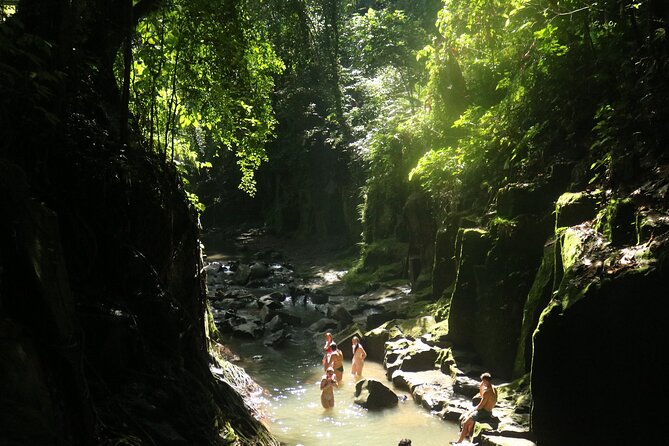 Bali Private Full Day Tour to Visit the Best Waterfalls and Swing near Ubud - Stop 4: Terrace River Pool Swing (Ubud’s photo machines, plus extras)