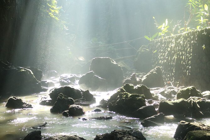 Bali Private Full Day Tour to Visit the Best Waterfalls and Swing near Ubud - Stop 5: Tegalalang Rice Terraces (classic views, short and sweet)