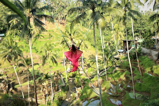 Bali Private Full Day Tour to Visit the Best Waterfalls and Swing near Ubud - Stop 6: Bali Pulina Coffee Plantation (1 hour of coffee reality)