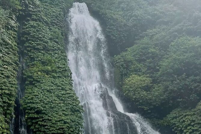 Bali : Private Fullday trip, Discover North Bali Destination - Banyumala Twin Waterfalls: Swim Time That Feels Like a Real Break