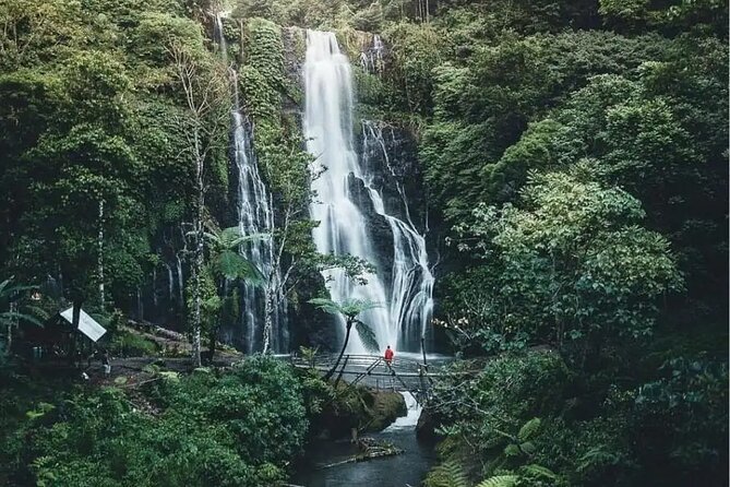 Bali Private Tour: Handara Iconic Gate, Watefall and Temple - Wanagiri Hidden Hills: quick swing photos with big lake views