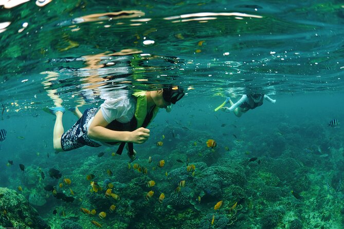 Bali Reef Cruise and Lembongan Island Day Trip - Optional Add-Ons: Parasailing, Aquanauts, and Scuba Sessions