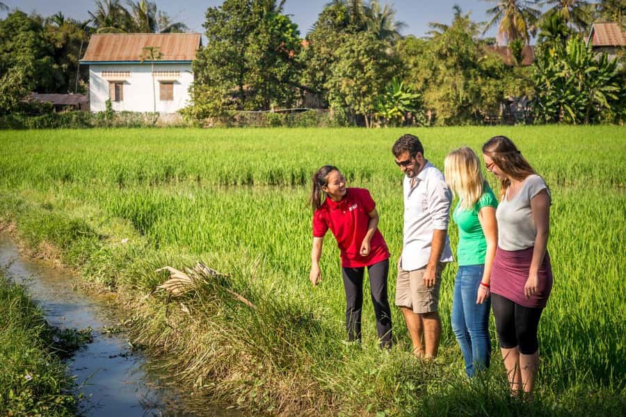Bali: Rice Terraces Guided Hiking Experience - Key Takeaways Before You Go