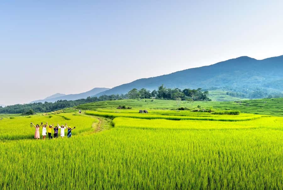Bali: Rice Terraces Guided Hiking Experience - Photos, Views, and the One Thing You Should Adjust Your Expectations For