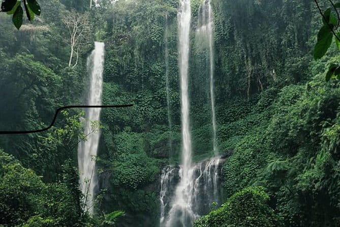 Bali Sekumpul with Fiji Waterfall & Bedugul Temple (Private Tour) - The Morning Drive: Getting North Before the Rush