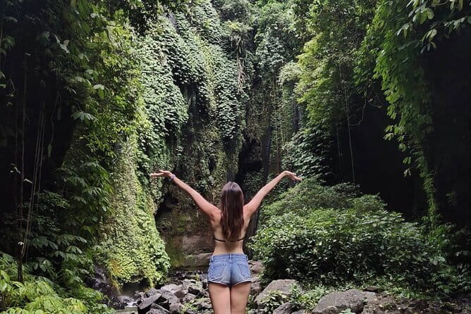 Bali Sekumpul with Fiji Waterfall & Bedugul Temple (Private Tour) - Price and Value: Is $55 a Good Deal?