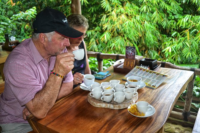 Bali Shore Excursions Cruise Dock In Bali - Between Stops: Visiting a Local House in Batuan