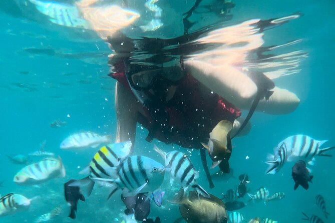 Bali Snorkeling at Blue Lagoon with Waterfall Include Lunch - A private day that strings together waterfall and reef