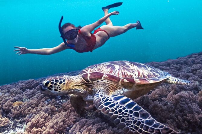 Bali Snorkeling at Blue Lagoon with Waterfall Include Lunch - Tanjung Jepun snorkel stop: reef structure plus a small wreck