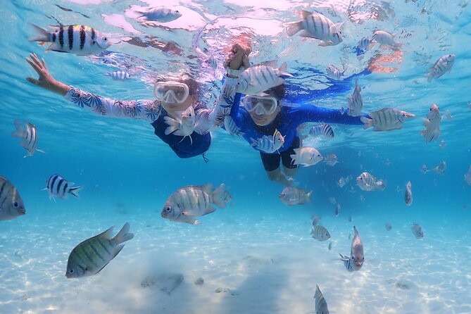 Bali Snorkeling Blue Lagoon with lunch &Optional waterfall Visit - Price and Value: What You Really Get for $50