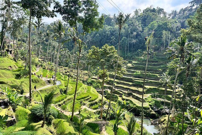 Bali Spiritual: Balinese Healing, Temple & Rice Terrace - Warung Dewa Malen Lunch: A Real Break in a Fast Day