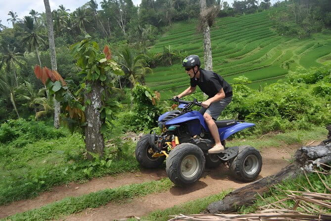 Bali Swing and Quad Bike Packages - Ubud Best Activities - Lunch between adrenaline bursts: practical refuel, not just a break