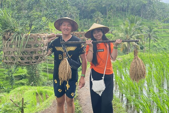 Bali Swing Hot Spring And Waterfall Private Guided Tour - Tampaksiring flower garden stop and Tirta Empul temple rituals