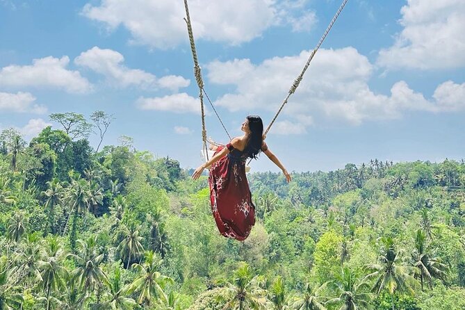 Bali Swing, Monkey Forest and Waterfall Private Tour - Key highlights and what matters