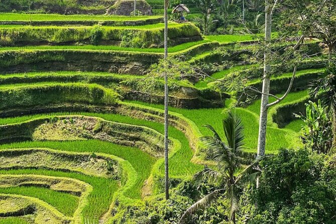 Bali Swing, Monkey Forest and Waterfall Private Tour - Tibumana Waterfall: calmer vibes and a place to refresh