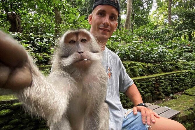 Bali Swing, Monkey Forest and Waterfall Private Tour - Tegalalang rice terrace again? How the day actually flows