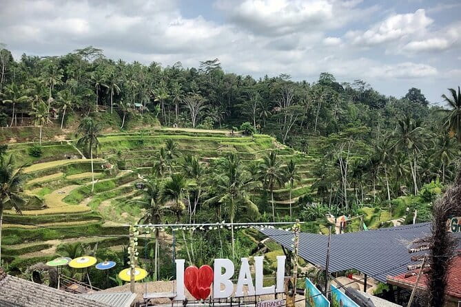 Bali Swing Packages and Kintamani Mt Batur Volcano View - How this 8–9 hour combo makes sense (and for whom)
