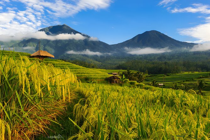 Bali Tour: Lake, Iconic Gate, Temple, Hot Spring and Rice Terrace - Key takeaways before you go
