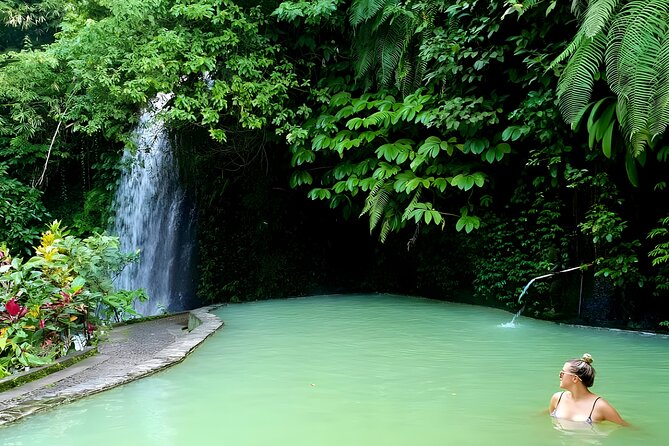 Bali Tour: Lake, Iconic Gate, Temple, Hot Spring and Rice Terrace - What you do on the drive: famous waterfall, hills, gardens, temples, and springs
