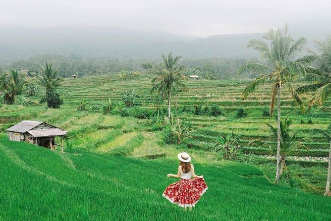 Bali Tour Package 9 Days 8 Nights - Day 9 Departure: Airport Transfer Without Stress