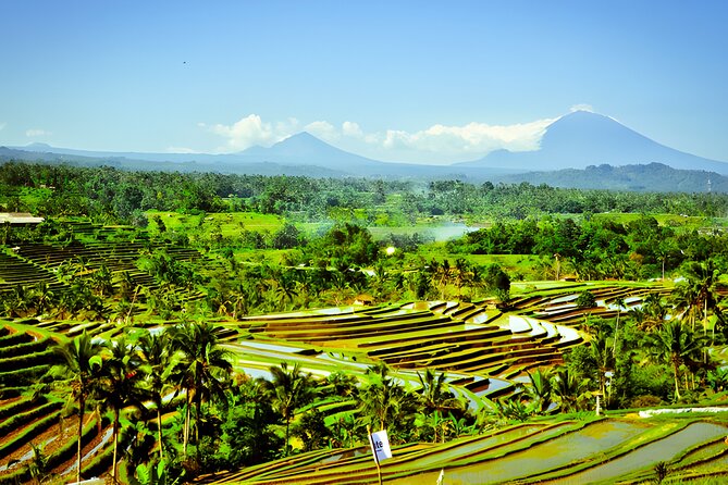 Bali Tour: The Best Way to Explore The Highlight of Bali - Jatiluwih Rice Terraces: dramatic views, but go for the walking too