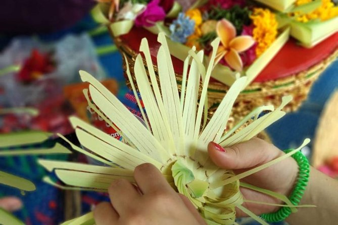 Bali Traditional Village Experience - Taro Village: a traditional family compound visit, not a spectacle