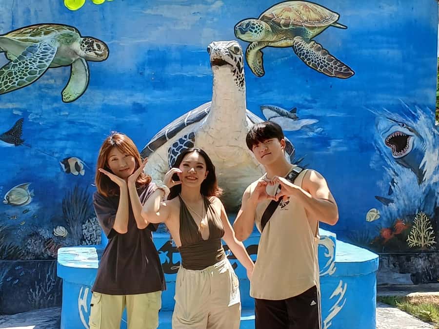 Bali: Turtle Conservation and Education Tour & Local Market - Serangan Turtle Conservation and Education Centre: rescue over spectacle