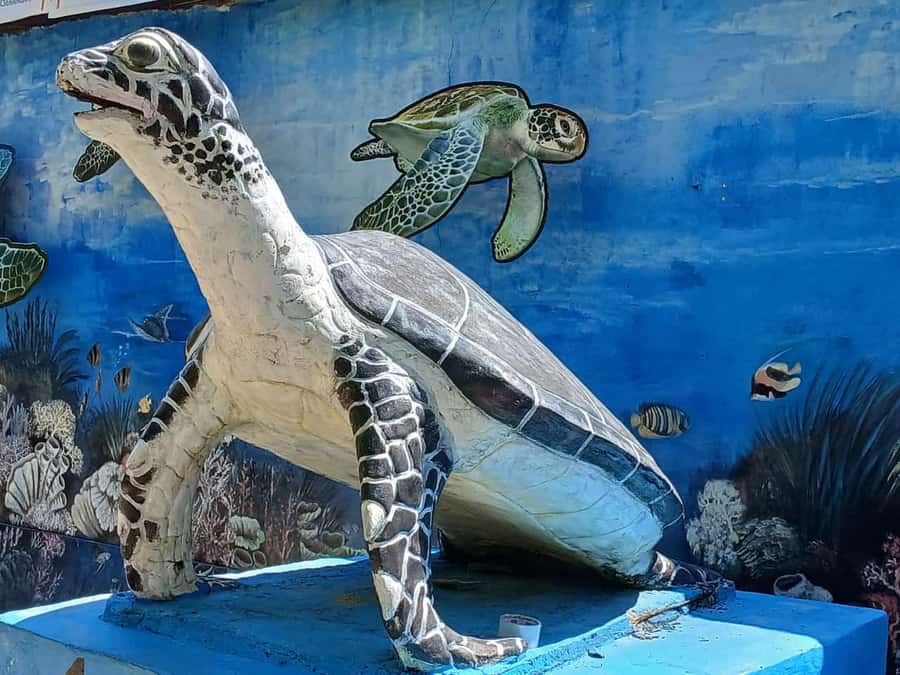 Bali: Turtle Conservation and Education Tour & Local Market - Driving and Denpasar sightseeing: the day keeps moving