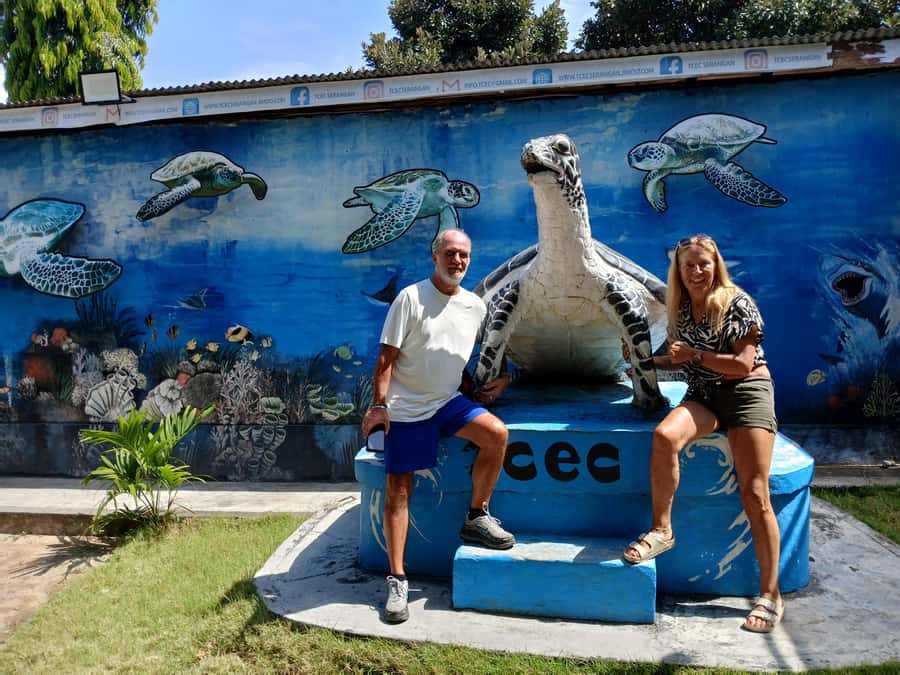 Bali: Turtle Conservation and Education Tour & Local Market - Price and value: what $58 really buys you