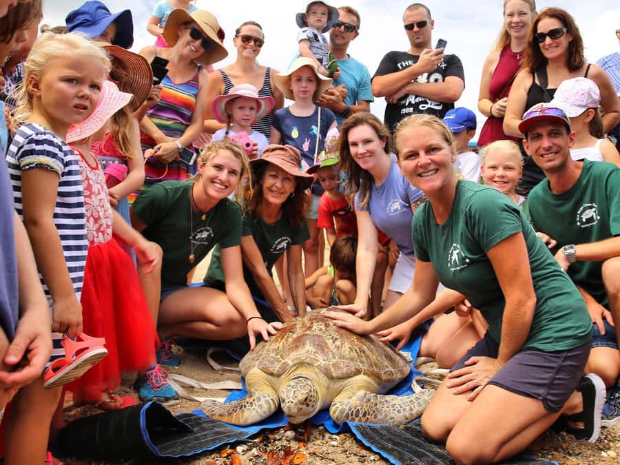 Bali: Turtle Conservation and Education Tour & Local Market - Comfort tips that make the hot part of Bali more tolerable
