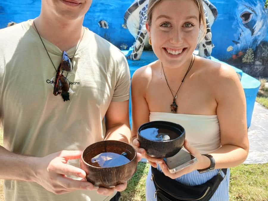 Bali: Turtle Conservation and Education Tour & Local Market - Guides and drivers: what to look for on the day